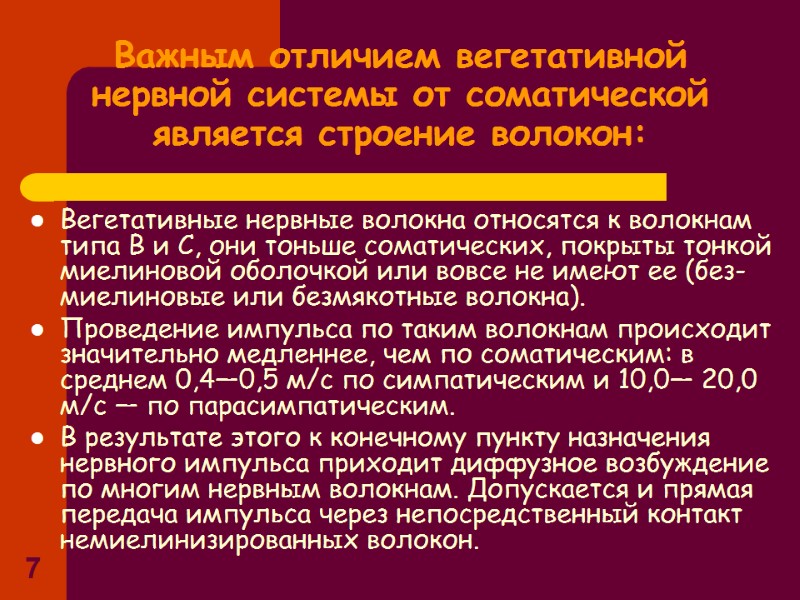 7 Важным отличием вегетативной нервной системы от соматической является строение волокон: Вегетативные нервные волокна 7 Важным отличием вегетативной нервной системы от соматической является строение волокон: Вегетативные нервные волокна